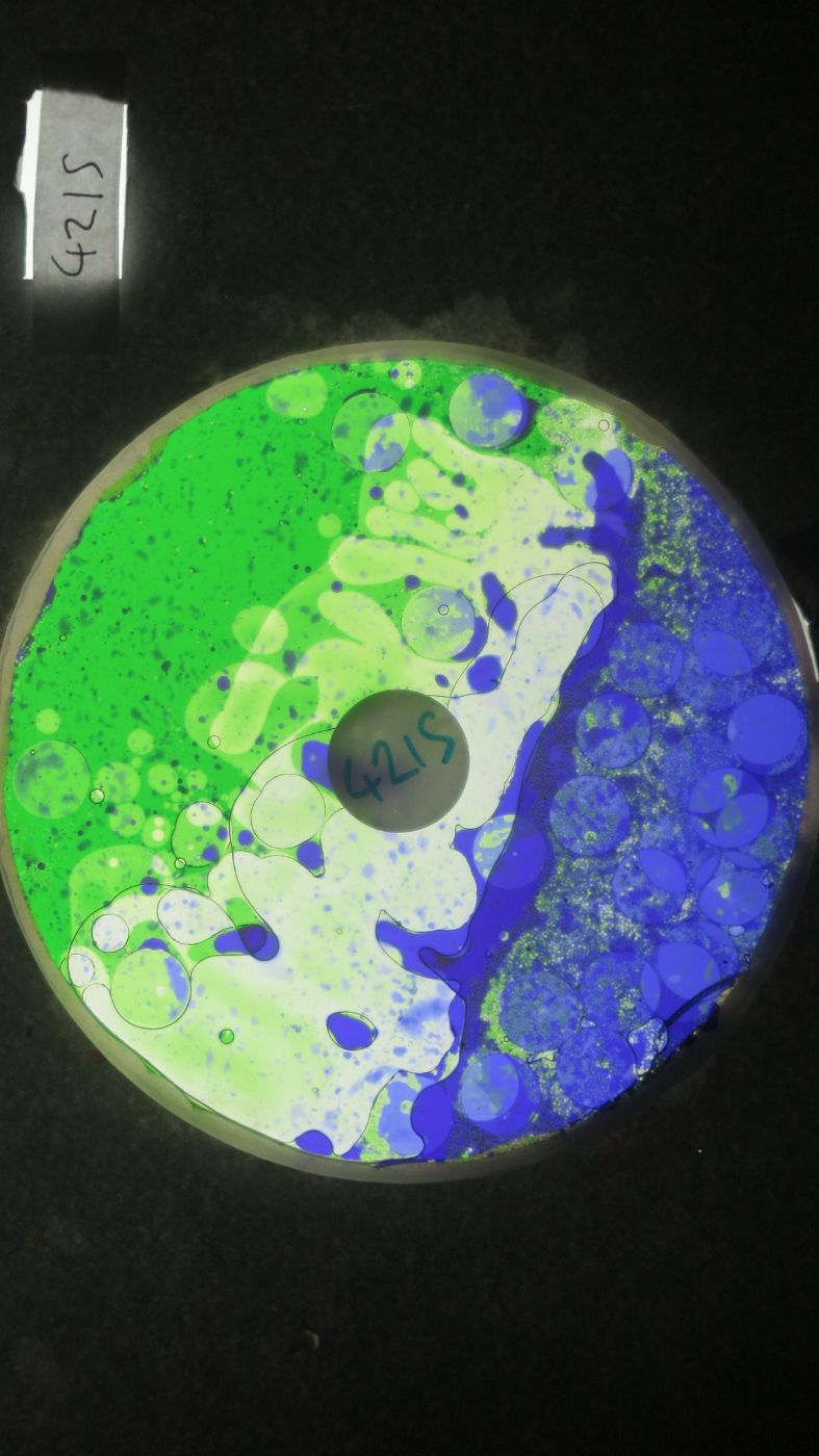 BV4215 bubble vision oil wheel